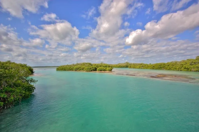 Blue water and mangrove coastline in the Sian Kaan Biosphere Reserve.