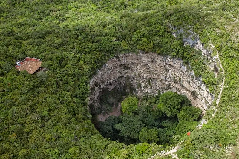 Tree-filled sinkhole walls at Sima de las Cotorras in Chiapas.