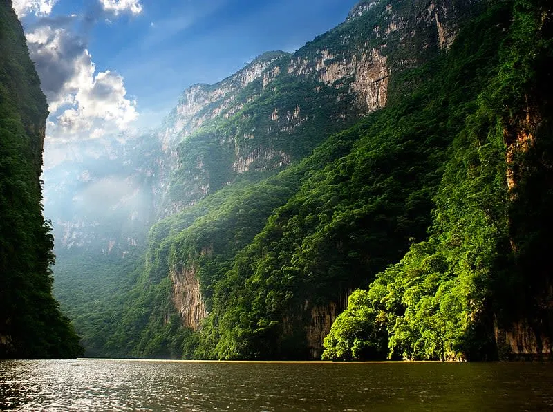 Steep green walls rising above the Grijalva River in Sumidero Canyon.
