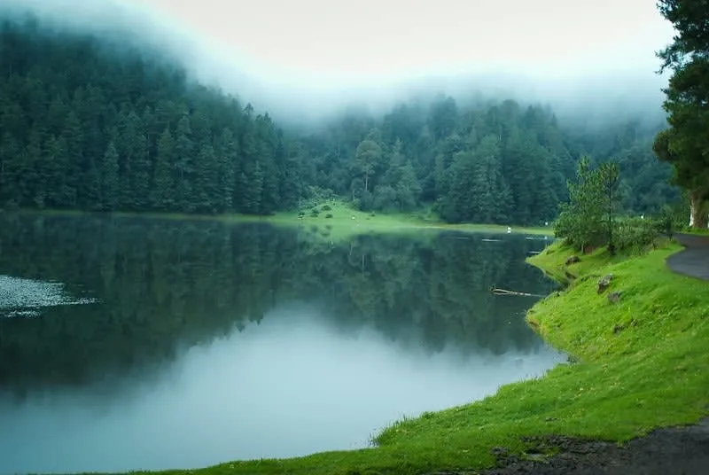 Lagunas de Zempoala lake surrounded by pine forest near Mexico City.