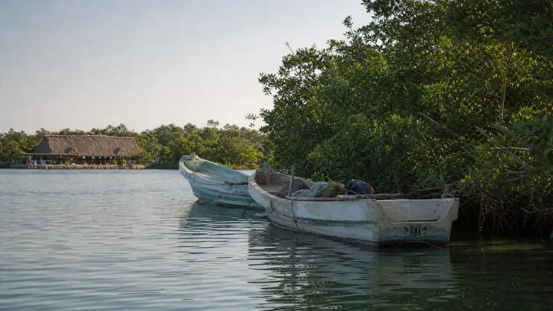 Fishing boats on Mecoacán Lagoon near Paraíso, Tabasco during a dry February morning