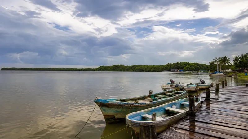 Fishing boats near Paraíso, Tabasco after September rain beside green Mecoacán Lagoon mangroves