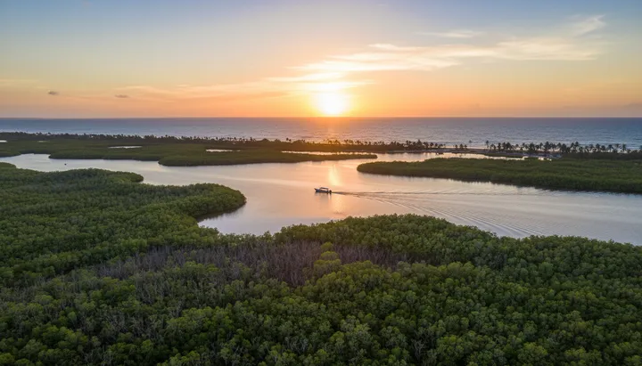 Things to Do in Paraíso, Tabasco: Beaches, Seafood, and Mecoacán Lagoon