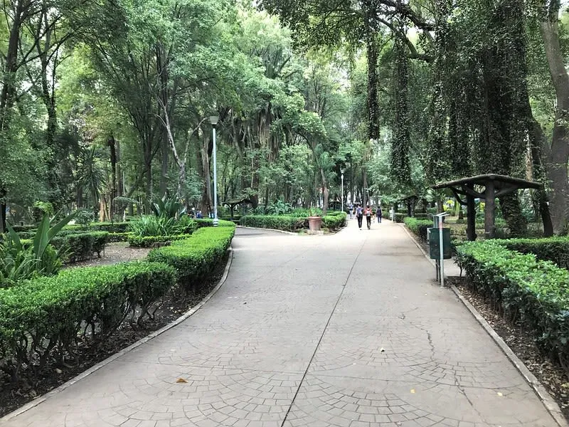 Art Deco paths and shaded lawns in Parque Mexico in Condesa