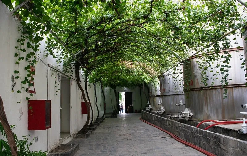 Casa Madero vineyard buildings and wine country landscape