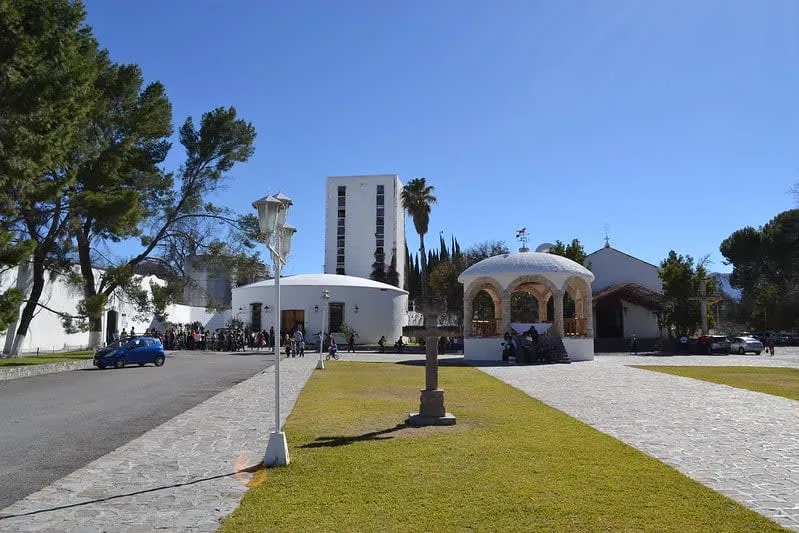 Wine grapes and vineyard scenery in Parras, Coahuila