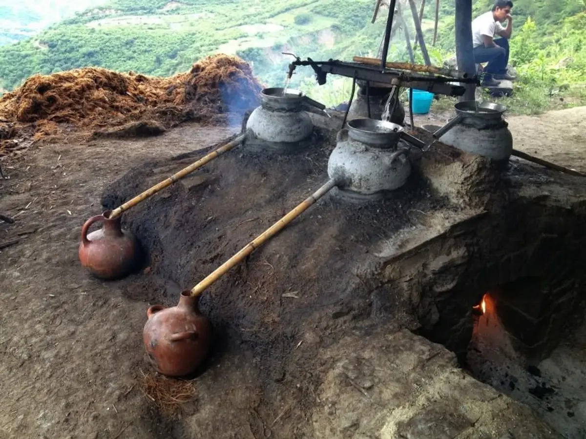 Savoring the Art of Pechuga Mezcal: A Journey Through Its Making