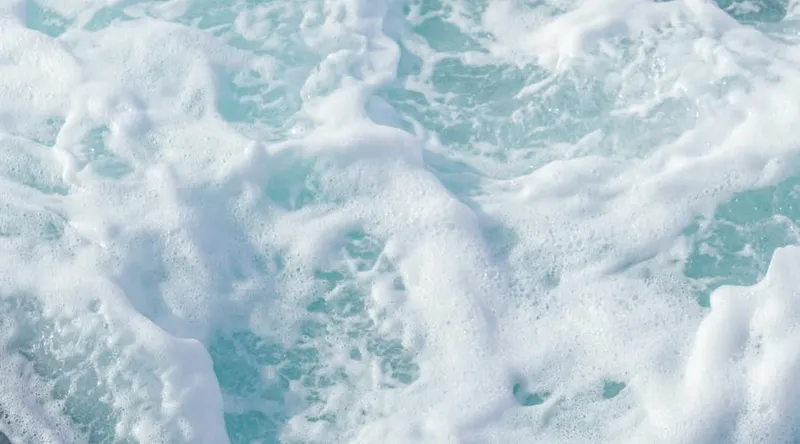 Cozumel ferry from Playa del Carmen, a useful August backup when sea and weather conditions cooperate
