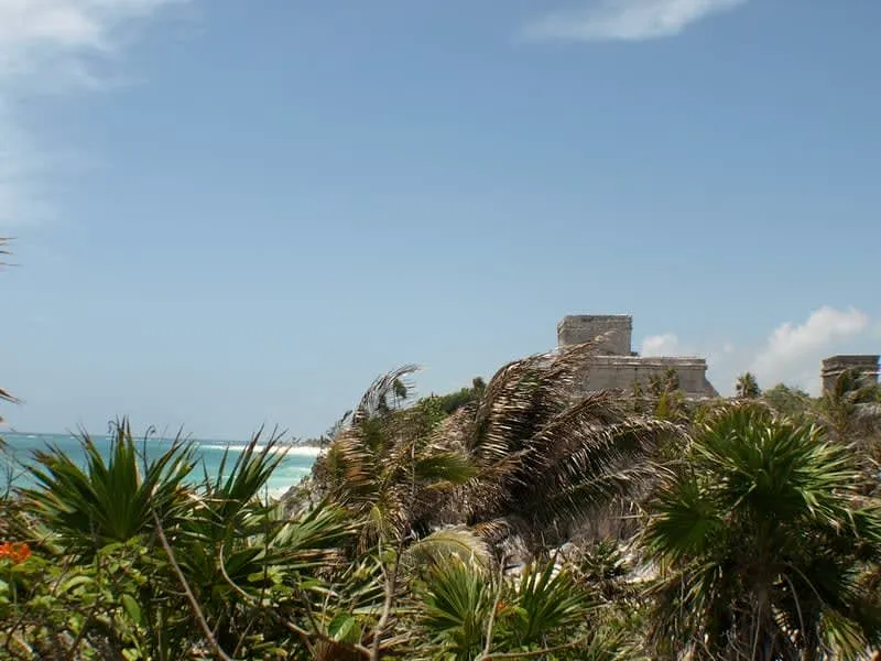 Coastal Maya ruins partly hidden by palm trees above the shore