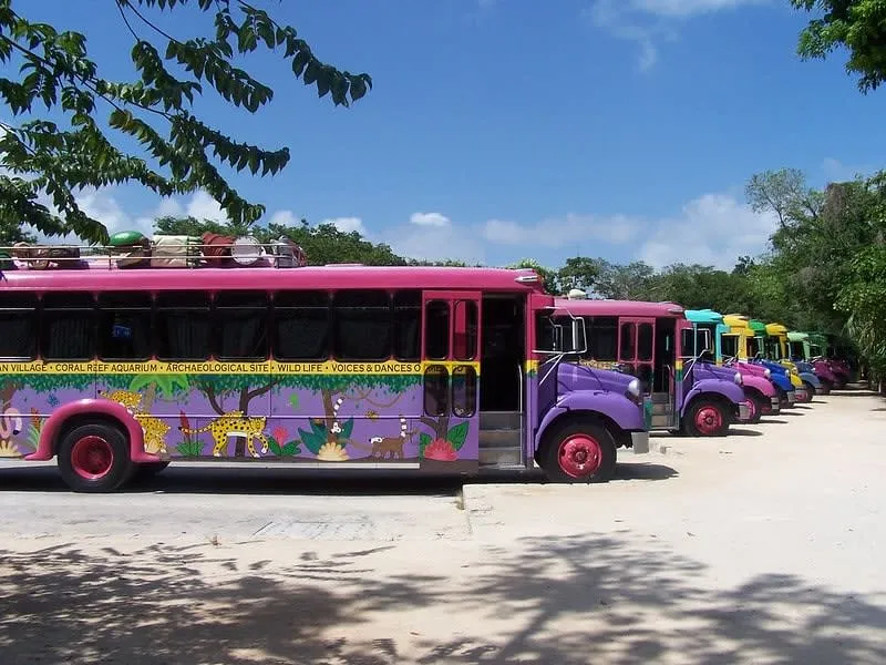 Row of colorful tour buses parked under leafy trees