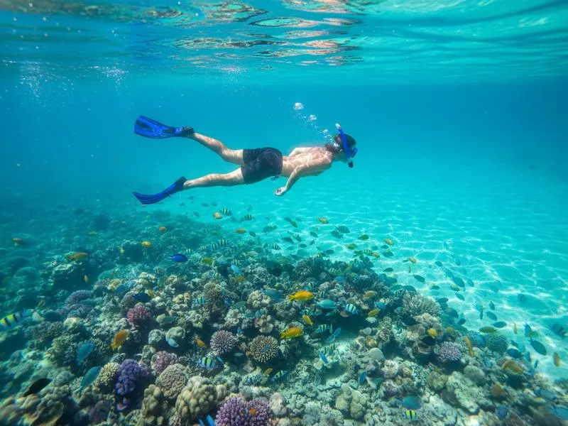 Playa del Carmen to Cozumel ferry planning during April after Easter week