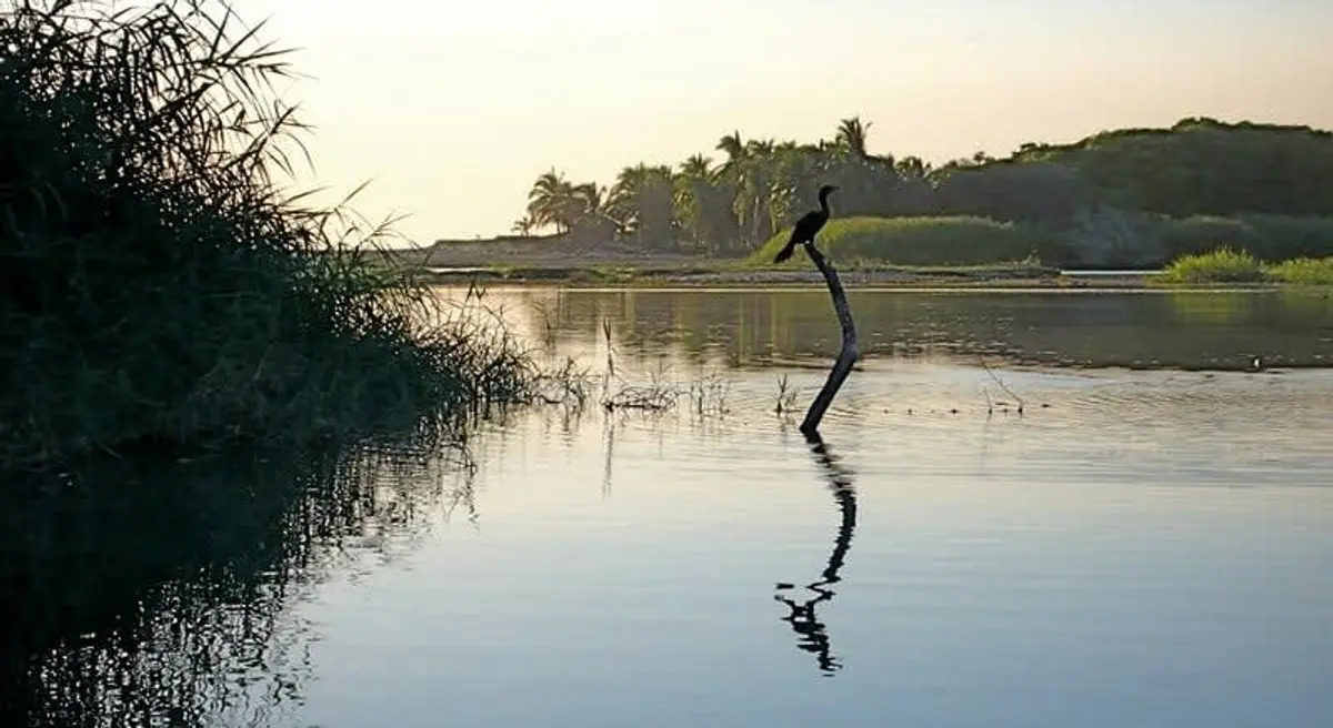 Puerto Escondido in June 2026: Bio, Turtles and Rainy-Season Value