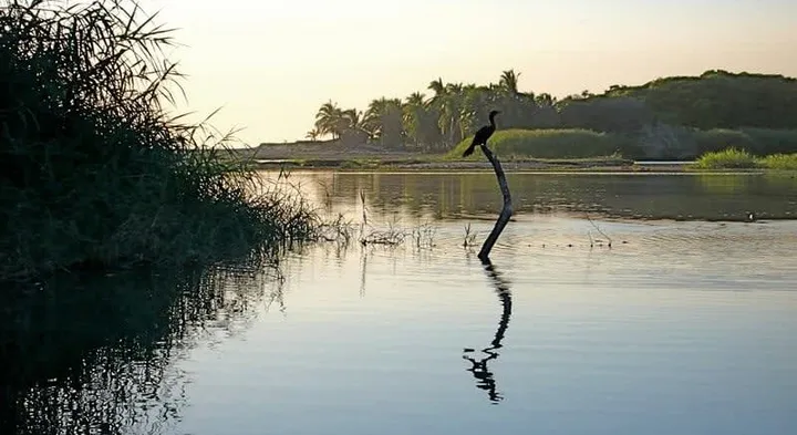 Puerto Escondido in June 2026: Bio, Turtles and Rainy-Season Value