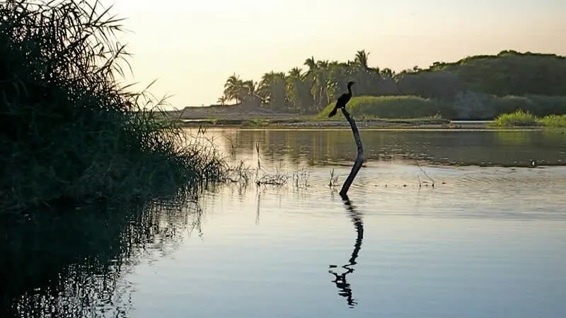 Puerto Escondido in September with warm rainy-season nights and bioluminescence near Laguna Manialtepec