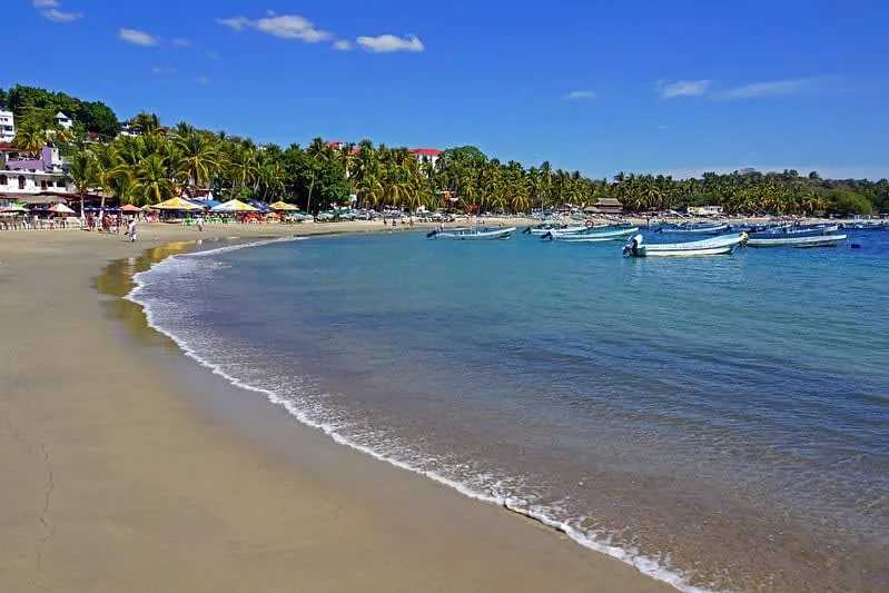 Fishing boats pulled onto Playa Principal beside coconut palms in Puerto Escondido