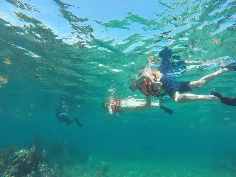 Snorkeler exploring the Puerto Morelos Reef National Park coral formations