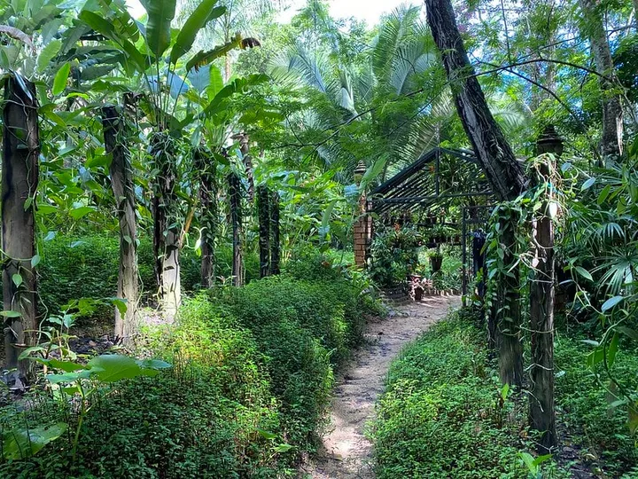 Things to Do in Puerto Vallarta 2026: 25 Best Activities, Beaches & Day Trips