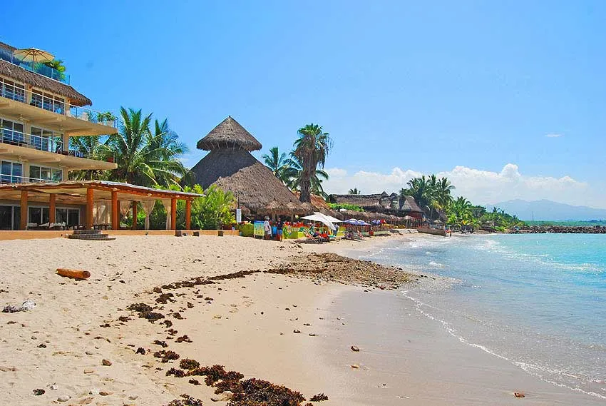 Punta Mita beach with golden sand, palms, and calm blue water