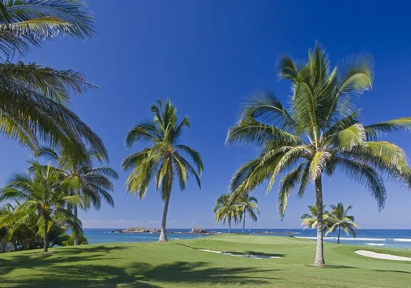 punta mita golf — Best Golf Courses In Mexico