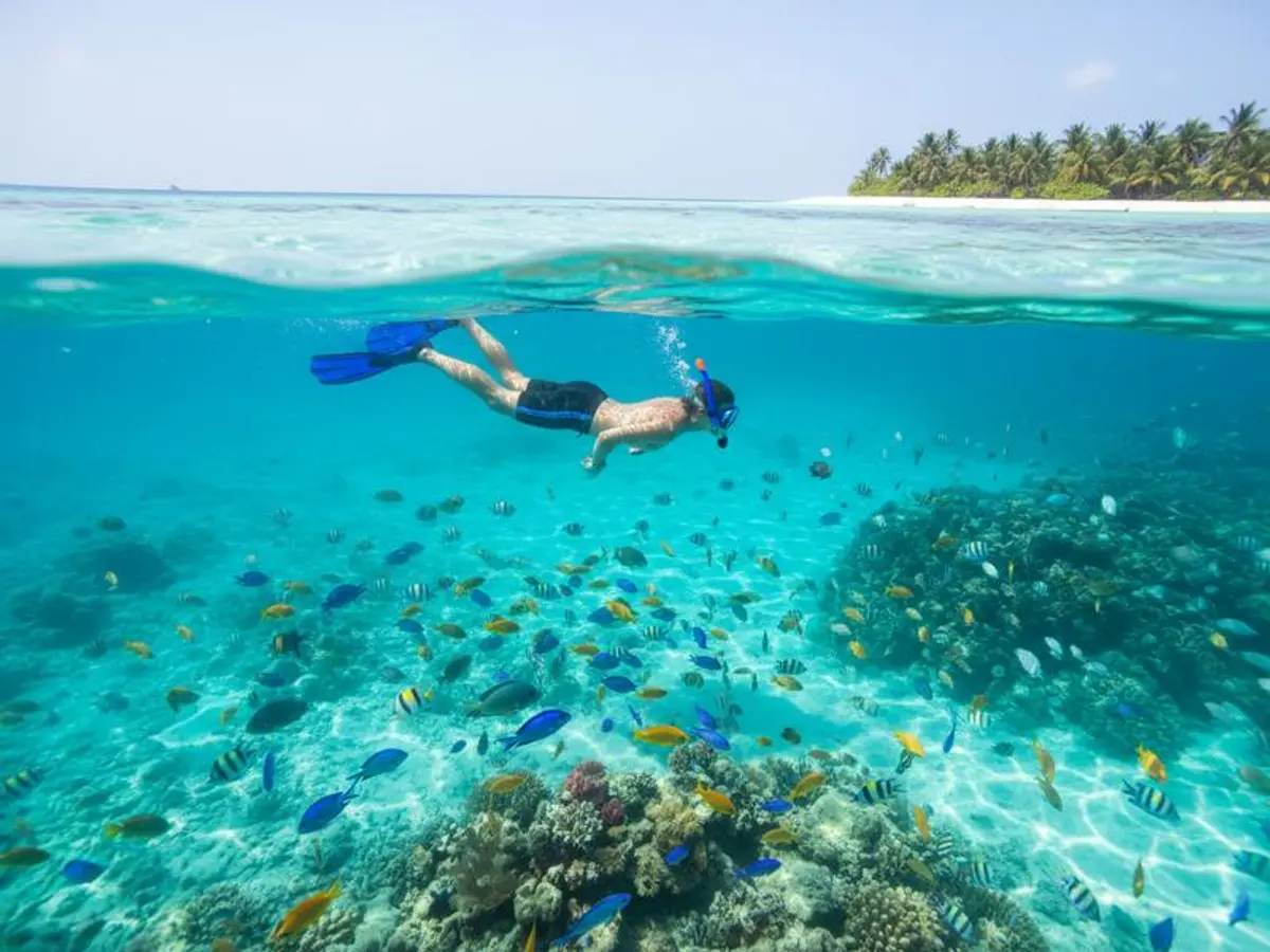 Is Cozumel Safe in 2026? The Honest Answer for Tourists