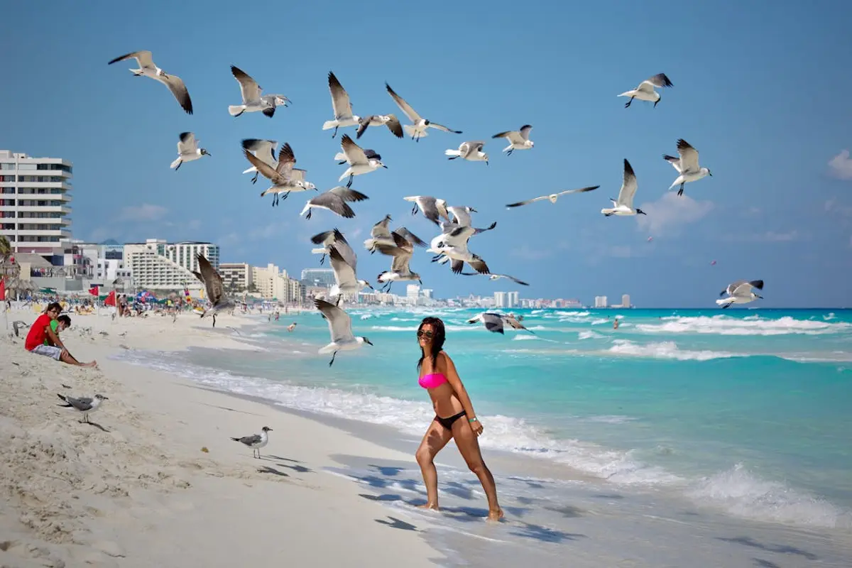 Cancun Nightlife 2026: Best Clubs, Bars & the Honest Party Guide
