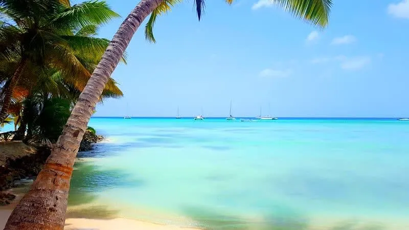 Playa Paraiso beach in Tulum with white sand and blue water below palm trees