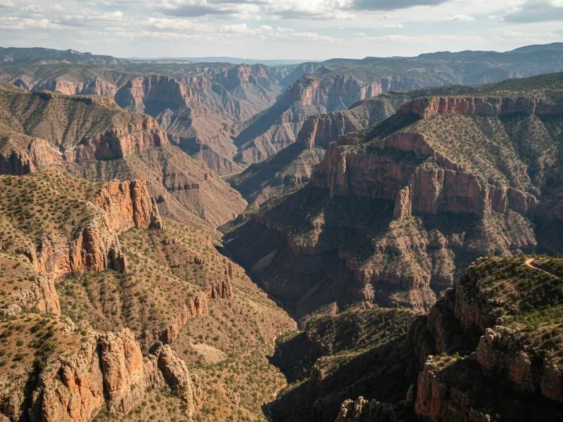 Raramuri artisan displaying traditional woven baskets in the Sierra Tarahumara near Creel