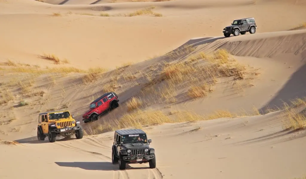 ATV tracks crossing the sand at the Samalayuca adventure area