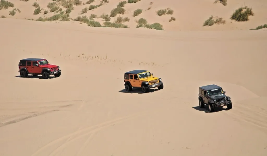 Wind-shaped Samalayuca dune ridges under a clear Chihuahua sky