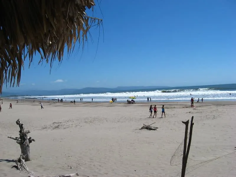 Wide Matanchen Bay beach with golden sand and palms near San Blas