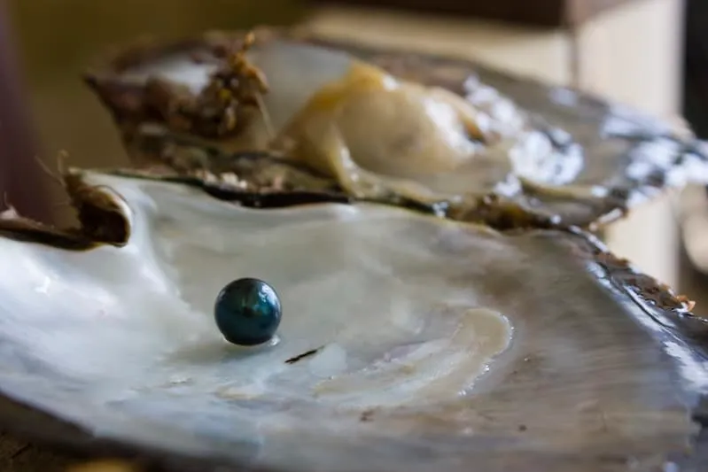 san carlos sonora — Guaymas And San Carlos Sonora Mexico