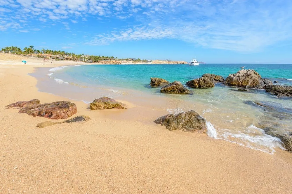 Palm shade and calm swimming water at Chileno Beach on the Los Cabos corridor
