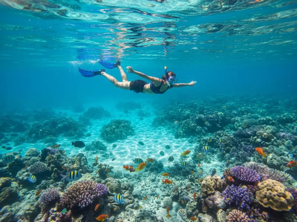 Best Hotels in Cozumel 2026: Dive Resorts & Beach Picks