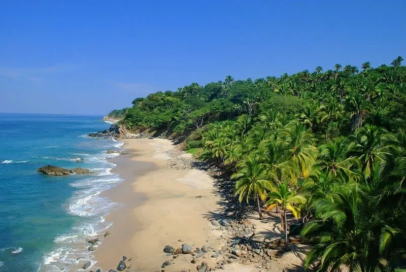 San Pancho (San Francisco) beach on Mexico's Riviera Nayarit coast — a wide uncrowded bay with surf waves and palm-lined shore