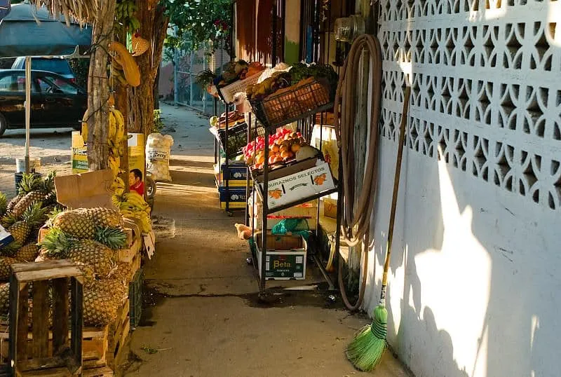 Food and restaurant planning for San Pancho in November