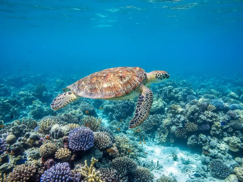 Sayulita beaches in November with warm Pacific weather