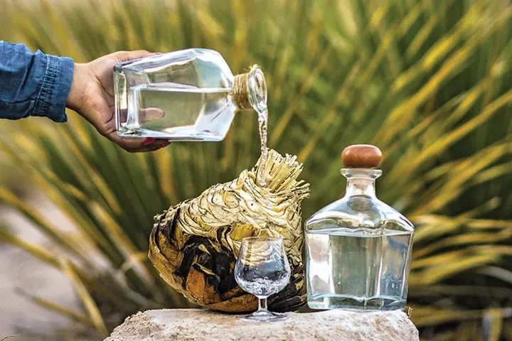 Sotol: Mexico&#8217;s Unknown Gem in the World of Spirits