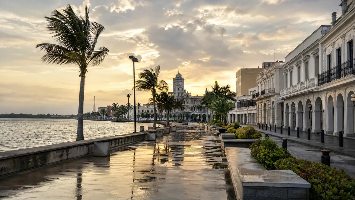 Laguna del Carpintero walkway in Tampico with palms, still water, and humid Gulf Coast clouds