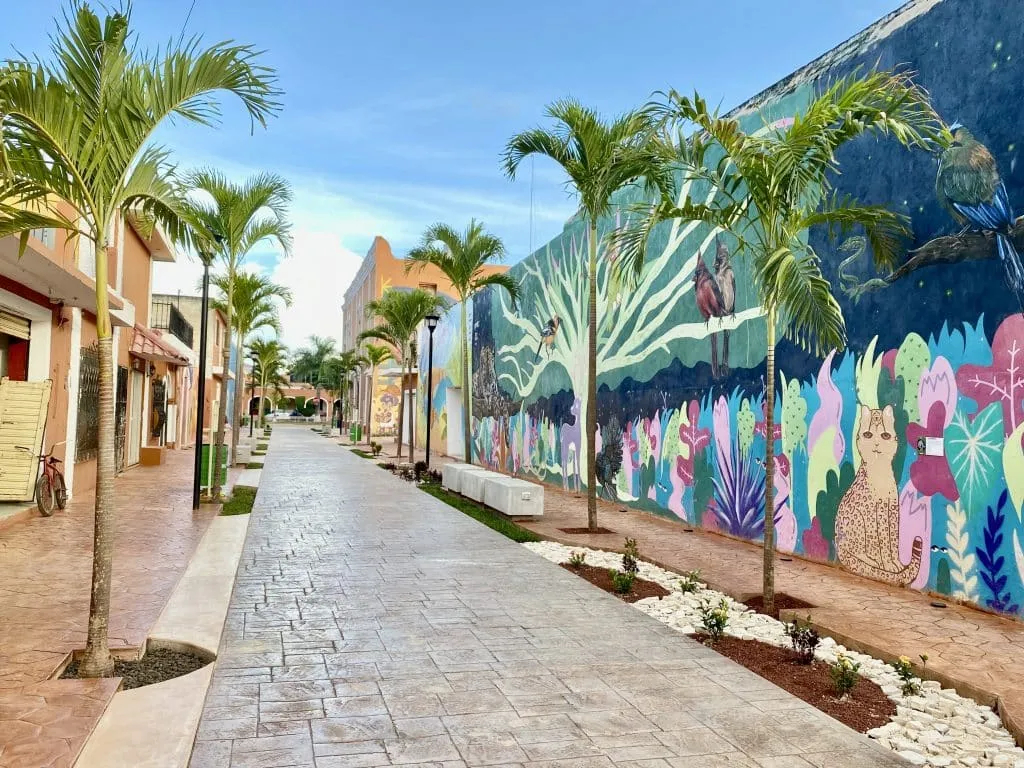 Colorful wall murals along the alley beside Tekax municipal palace