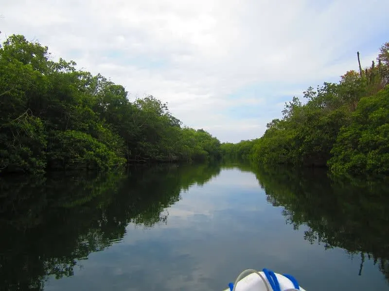 Tenacatita mangrove lagoon near Barra de Navidad — kayaking through the jungle estuary at the back of the bay