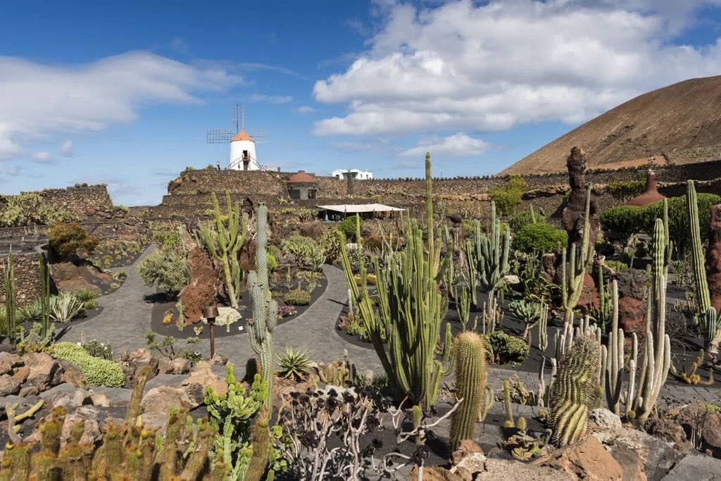 Teotihuacan archaeological zone cactus garden with cacti native to the highlands of central Mexico, part of the botanical section near Gate 1