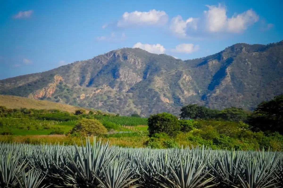 Tequila in November 2026: Weather, Tips
