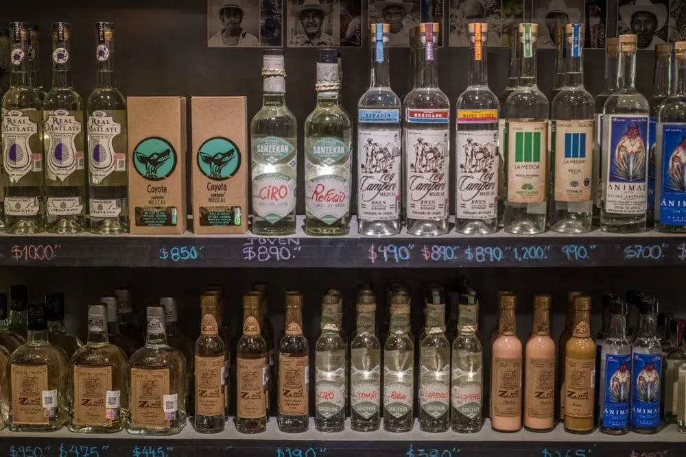 Artisanal mezcal bottles from different Oaxacan producers showing varied agave species labels