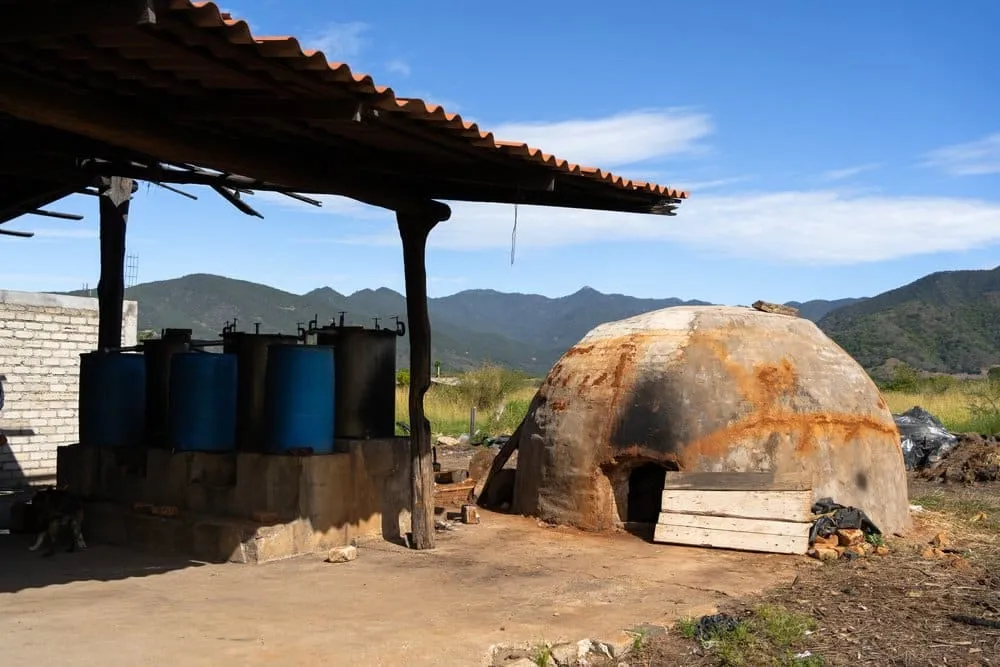 Artisan raicilla distillation in the Sierra Occidental of Jalisco, Mexico, using traditional clay pot still