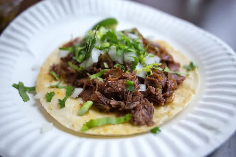 Barbacoa taco with slow-cooked lamb, salsa, cilantro, and onion