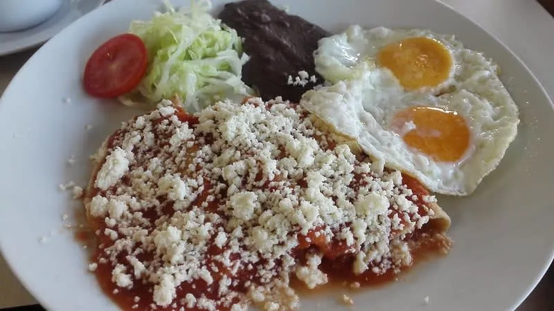 Entomatadas folded in tomato sauce and topped with cream and cheese