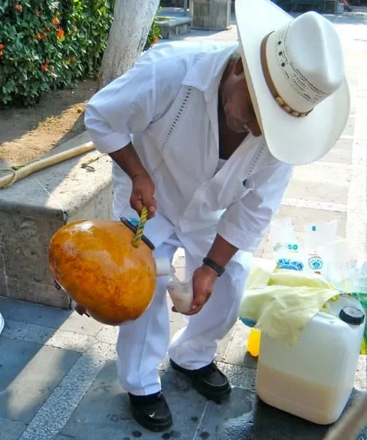 Tubero serving traditional tuba drink from a wooden bule gourd in Colima Mexico — Mexico's pink coconut palm wine
