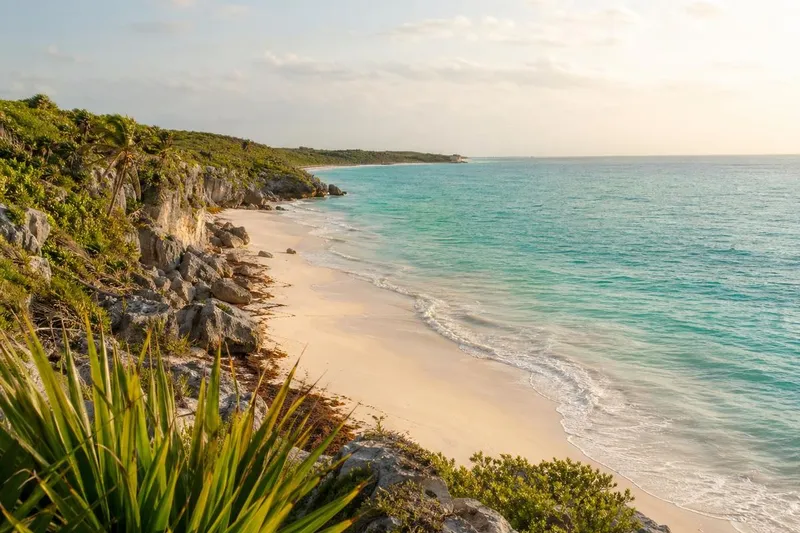 Turquoise Caribbean water and palm trees along the Tulum coast