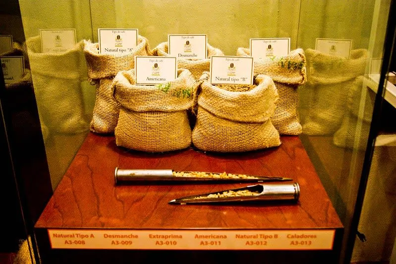 Coffee Museum display about Chiapas coffee culture in Tuxtla Gutierrez