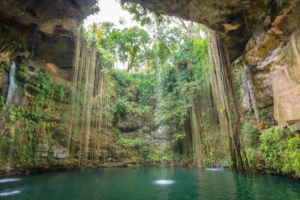 Cenote Ik Kil circular open cenote with hanging roots near Chichen Itza, Yucatán